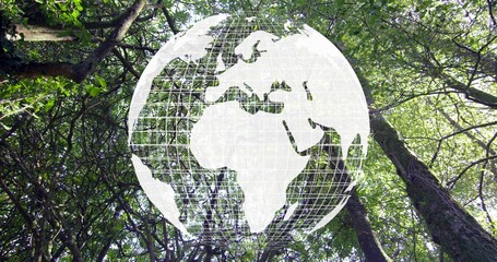 Naklejka premium Forest canopy showing semi-transparent white globe overlay with gridlines and continent silhouettes