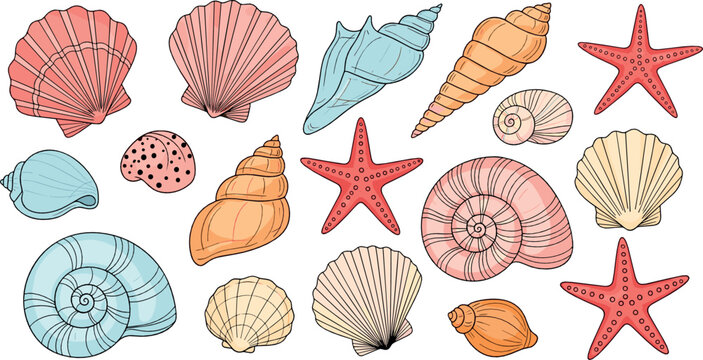 Seashell and starfish vector set with colorful ocean shells, marine beach elements hand drawn style illustration collection