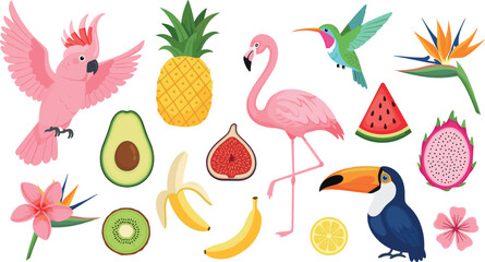 Fototapeta premium Tropical Exotic Collection with Flamingo Parrot Toucan Pineapple Banana and Colorful Cartoon Vector Illustration Set