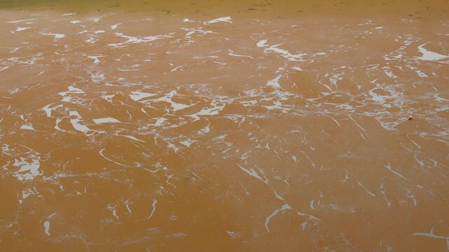 Body of pond water with brown foam forming patterns on the surface
