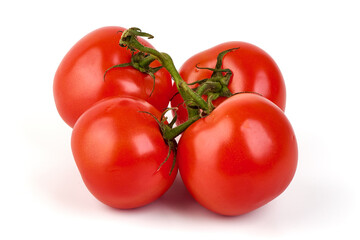 Red Tomatoes on Vine, isolated on white background