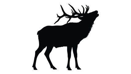 A majestic elk silhouette showcasing its impressive antlers and powerful stance in a striking black and white composition with strong contrast and detailed texture © JASMIN