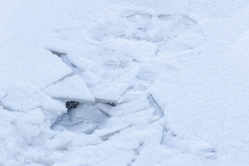 Broken ice shards under a thick layer of fresh snow cover polinya, creating a cold, textured...