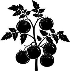 Tomato plant silhouette vector illustration © Nasima