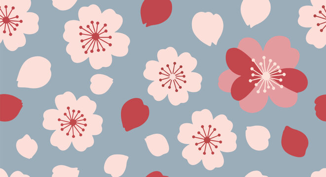 Modern vector illustration of Japanese cherry blossoms festival seamless pattern with sakura flowers and petals arranged in clean decorative spring style