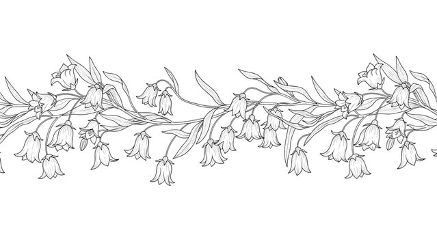 Long horizontal floral border depicting a vine of blooming bluebell flowers with green leaves in an intricate black and white sketch.