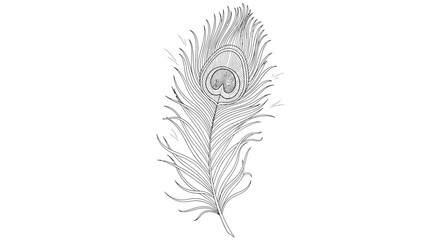 Fototapeta premium Intricate hand-drawn sketch of a single peacock feather with detailed eye pattern. Black and white line art illustration.