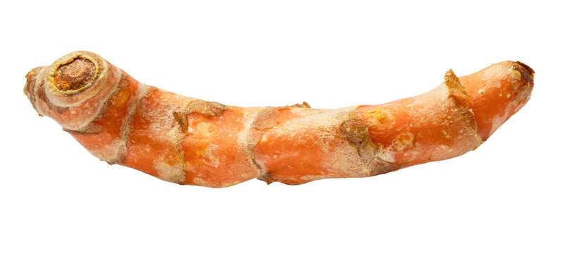 natural fresh turmeric rhizome isolated on white background from Thailand