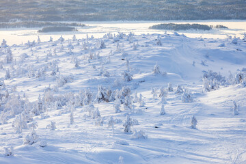 Fototapeta premium aerial view of snowy slope near Kandalaksha bay