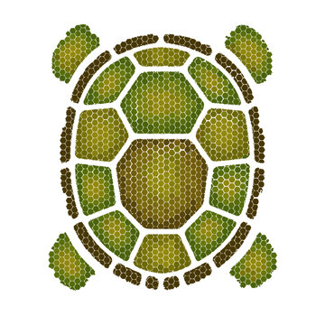 Abstract geometric turtle shell pattern with hexagonal cells and gradient colors