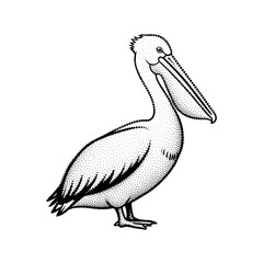 Fototapeta premium Stippled illustration of a pelican standing on its feet with its beak open