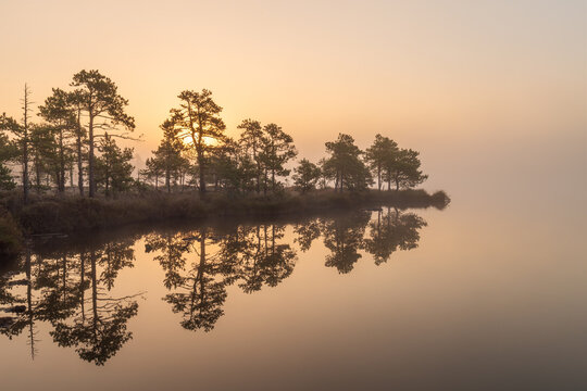 A mystical early autumn morning in a foggy swamp. Kakerdaja bog in K&otilde;rvemaa Nature Reserve. Estonian nature.