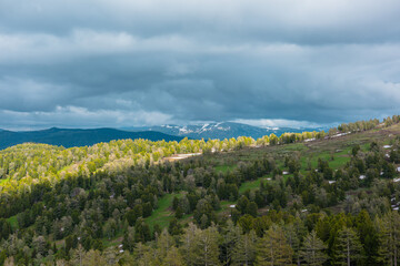 Fototapeta premium Scenic aerial top view from above to hilly woody vastness and dark silhouettes of big mountains with snow far away. Sunlight and shadows of clouds on forest hills under dramatic sky in cloudy weather.