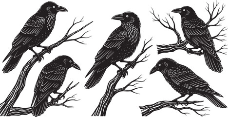 Fototapeta premium A collection of mysterious black crows perched on gnarled, bare tree branches, evoking a sense of gothic natural beauty and intriguing atmosphere in detailed vector illustrations