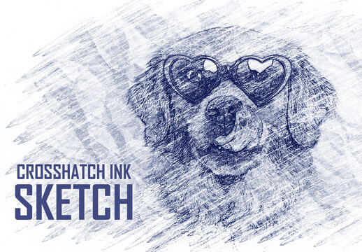 Crosshatch Ink Sketch Photo Effect