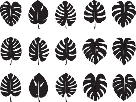Monstera Leaf Silhouette Set, Tropical Jungle Leaves Collection, Minimal Black Botanical Icons Isolated on Light Background, Modern Nature Design Elements for Logo