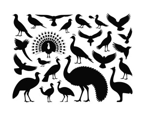 A collection of bird silhouettes including a peacock in black and white silhouette © MDHASAN