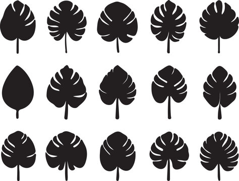 Monstera Leaf Silhouette Set, Tropical Jungle Leaves Collection, Minimal Black Botanical Icons Isolated on Light Background, Modern Nature Design Elements for Logo