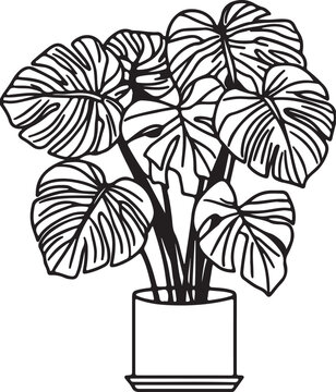 Monstera Deliciosa Plant Line Art Illustration: Minimalist Potted Swiss Cheese Plant Vector Drawing with Bold Black Outlines for Interior Design,