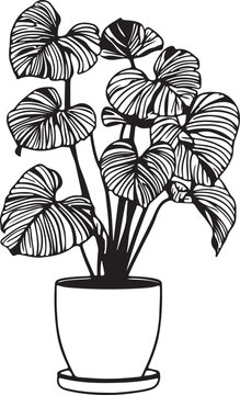 Monstera Deliciosa Plant Line Art Illustration: Minimalist Potted Swiss Cheese Plant Vector Drawing with Bold Black Outlines for Interior Design,