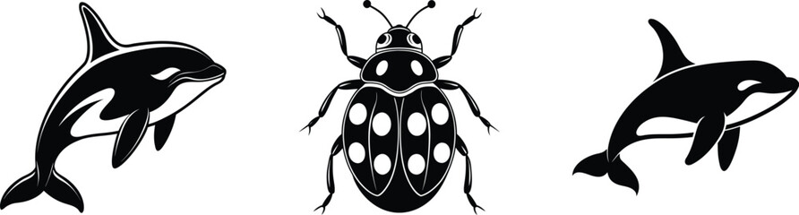 Black silhouettes of orca whale insect beetle on white background © LailaArtworks
