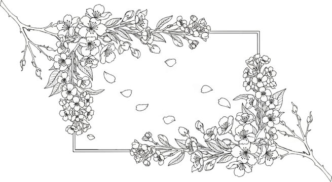 Delicate sketch of flowering branches framing a square, with scattered petals