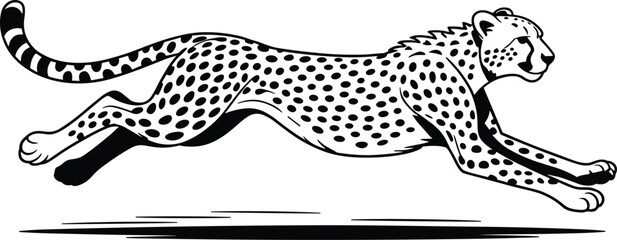 Black and white cheetah running to the right with spots and tail © MdSar