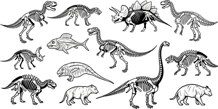 Collection of dinosaur and ancient animal skeletons in black and white