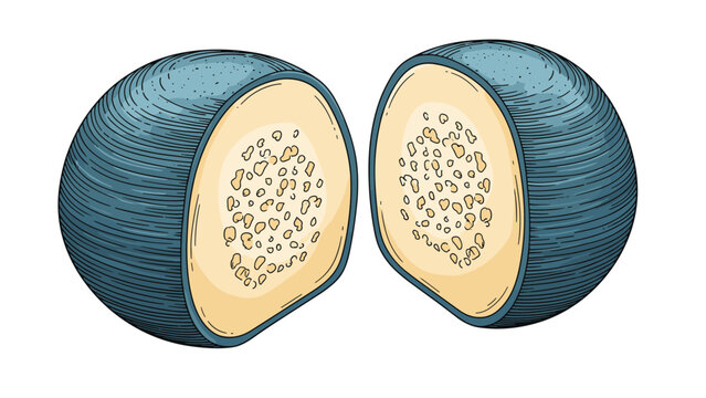 Vintage engraved style illustration of a blue guava fruit cut in half revealing its interior seeds and texture on white background.