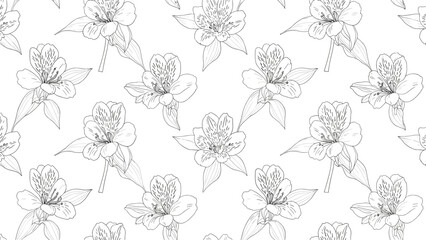 Fototapeta premium Seamless pattern with black and white line drawings of delicate alstroemeria flowers for floral background and fabric design.