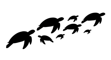 Obraz premium Turtles Swimming Family Group Silhouettes