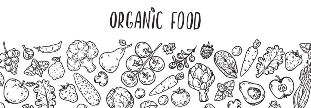 Organic food sketch doodles . Fruits and vegetables. Whimsical food doodles. Hand drawn vector illustration for menu, packaging design. Simple sketch style. Top view. Simply fun