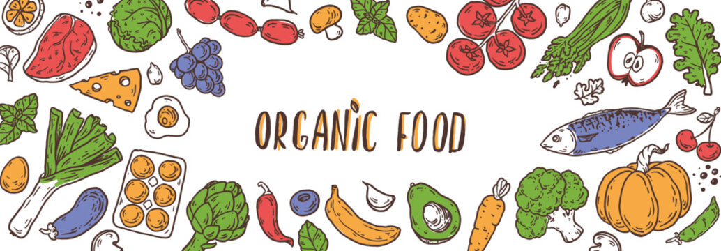 Organic food sketch doodles . Whimsical food doodles, Hand drawn vector illustration for menu, packaging design. Food quirky icons, simple sketch style. Top view. Simply fun
