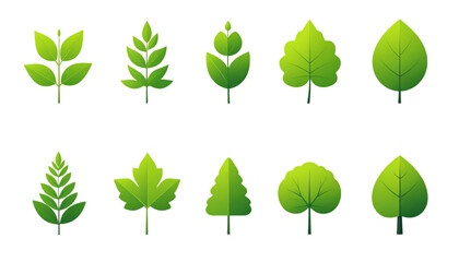 A diverse collection of various types of trees and plants in different shapes and sizes isolated on transparent background