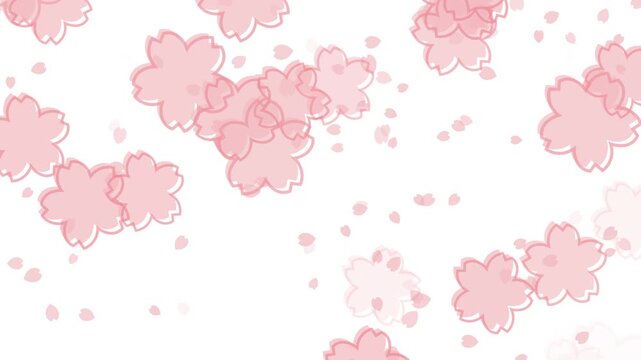 桜 枠あり 左から右 横方向 パターン01 桜色 ループ（白背景）