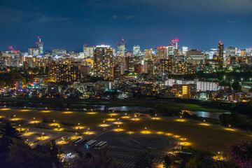 Fototapeta premium 宮城県仙台市 仙台城跡（青葉城址）から見下ろす広瀬川と杜の都・仙台の夜景