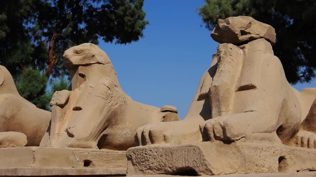 Karnak Temple in Luxor, Egypt. Ram-headed sphinx alley at Karnak Temple. Ancient stone statues of Amun god along sacred processional avenue.
