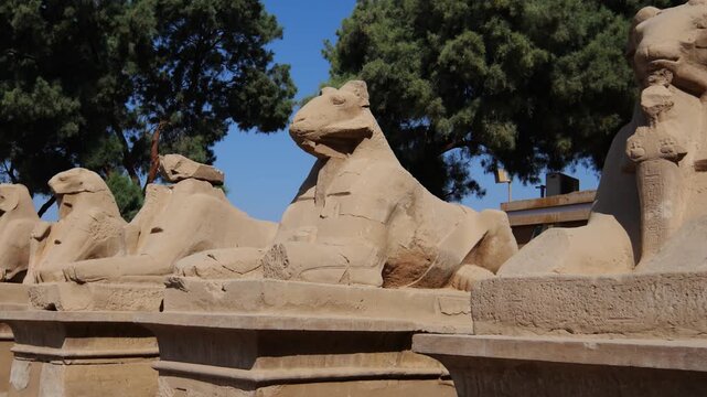 Karnak Temple in Luxor, Egypt. Ram-headed sphinx alley at Karnak Temple. Ancient stone statues of Amun god along sacred processional avenue.