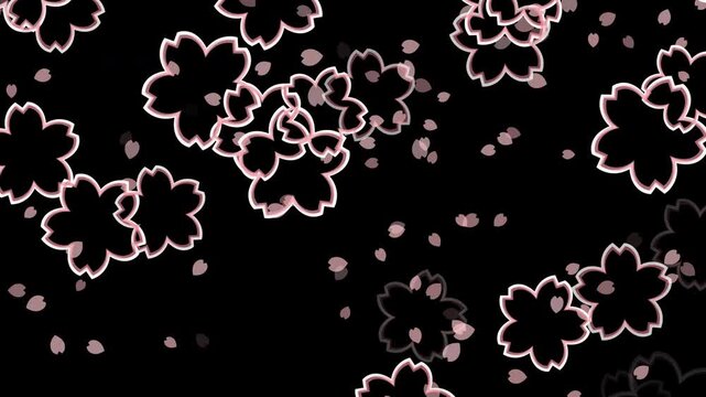 桜 枠あり 左から右 横方向 パターン01 桜色 ループ（黒背景）