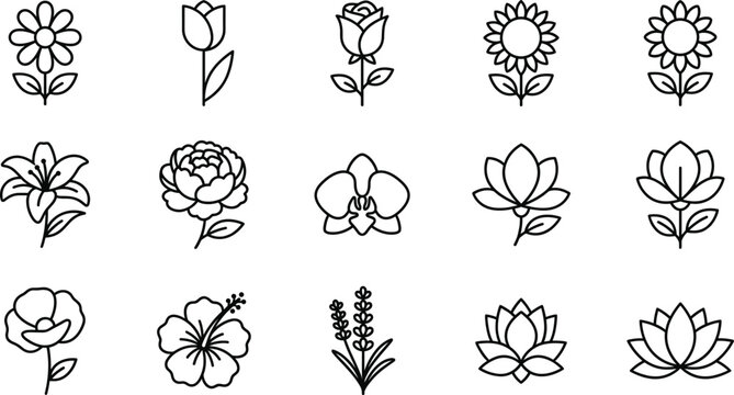 Minimal flower outline icon set with rose tulip sunflower lotus orchid hibiscus lavender and floral botanical line vector collection