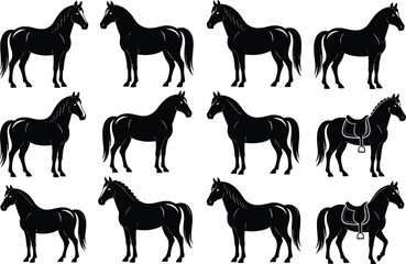 Horse silhouette vector illustration, black and white equestrian design, saddle and braided mane details, livestock animal artwork, rural nature theme, riding preparation graphic