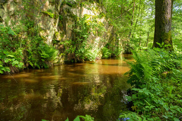 Obraz premium Natural River Landscape with Lush Greenery and Rocky Outcrops in a Tranquil Forest Setting on a Sunny Day
