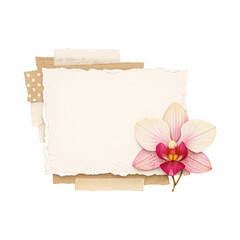 Fototapeta premium PNG Elegant floral layered paper design