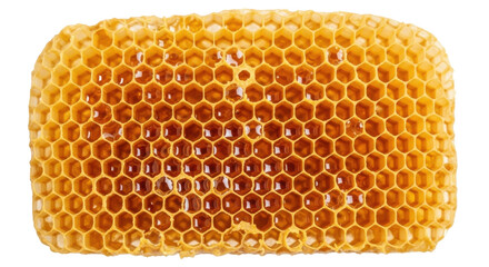 Golden honeycomb with honey isolated PNG, natural beeswax cells filled with sweet nectar on transparent background © Aliona
