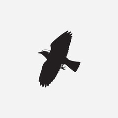 Fototapeta premium Minimalist vector illustration of a majestic eagle flying with outstretched wings