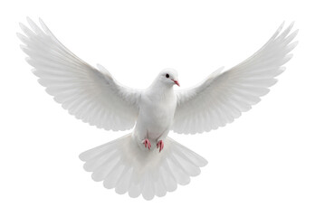 Obraz premium PNG Graceful white dove in flight.