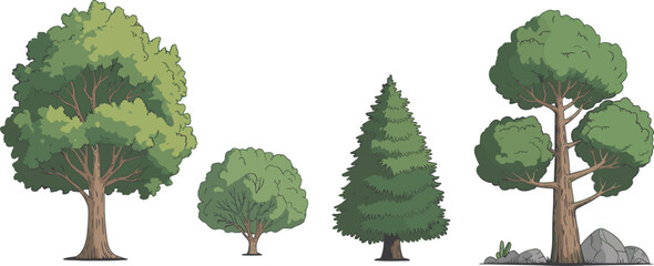Four different types of green trees standing on a plain background nature outdoor leaves © Icons World