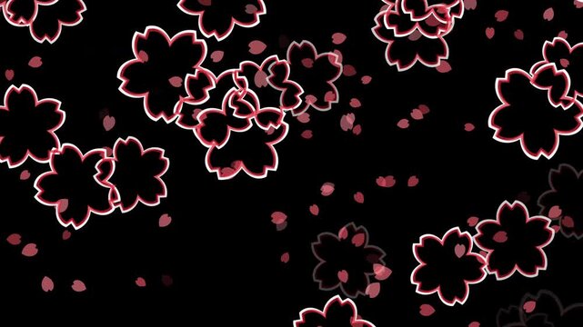 桜 枠あり 左から右 横方向 パターン01 紅梅色 ループ（黒背景）