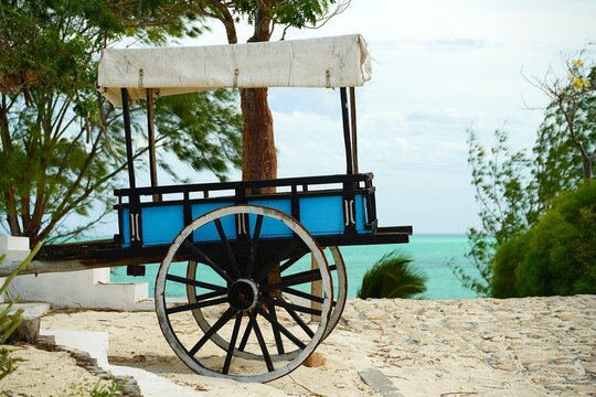 Charette de plage