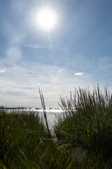 Fototapeta premium Dune grass with a view of the sea and sun by the noth sea